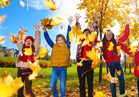 A group of children playing in the leaves.